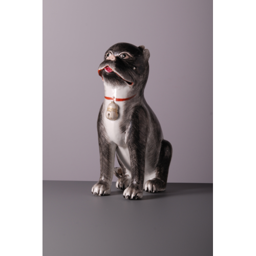 Seated Dog